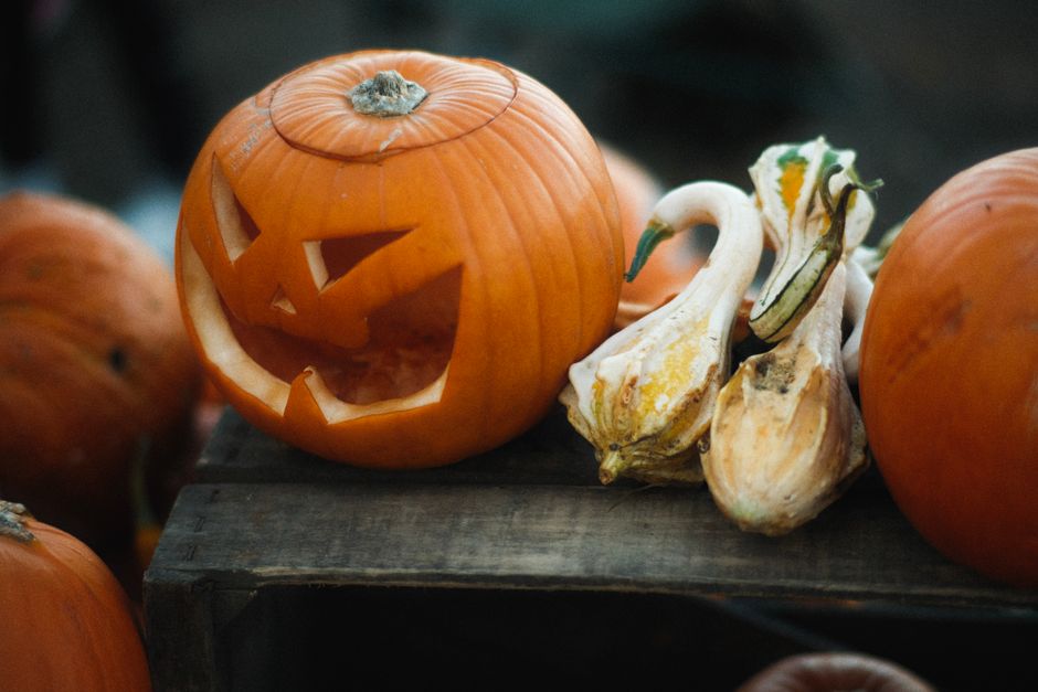 Carved Pumpkin Cluster for guests arriving at different times — celebrations · Halloween