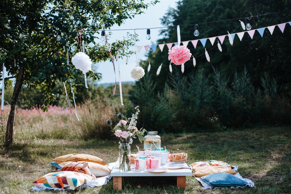 Backyard Picnic Party with a memory-making finale — entertainment · Party Ideas