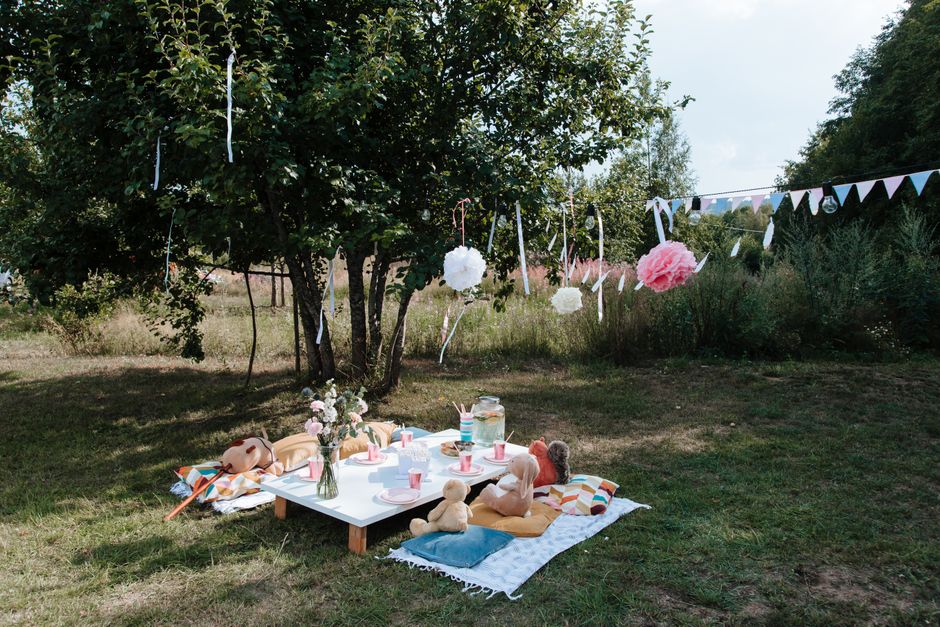 Backyard Picnic Party for a spontaneous plan — entertainment · Party Ideas