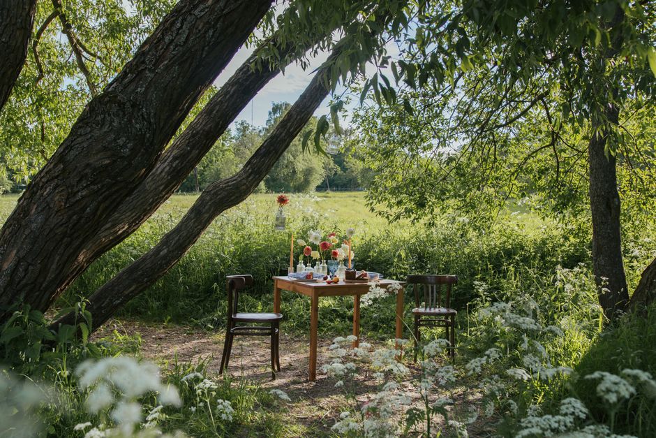 budget-friendly garden & outdoor refreshes with warm evening lighting — home · Garden & Outdoor