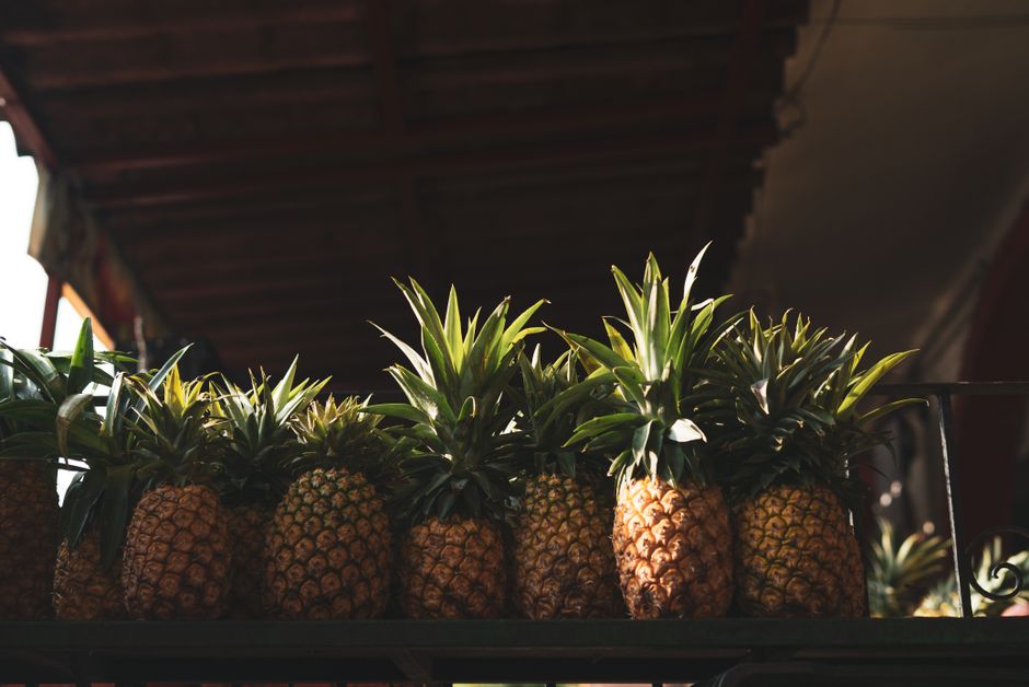 Pineapple Agua Fresca for a backyard gathering — food · Drinks