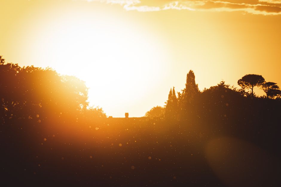 Sunlight-First Start with a calming scent — wellness · Morning Routines