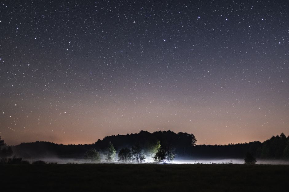 Stargazing Meadow with a scenic picnic — travel · National Parks