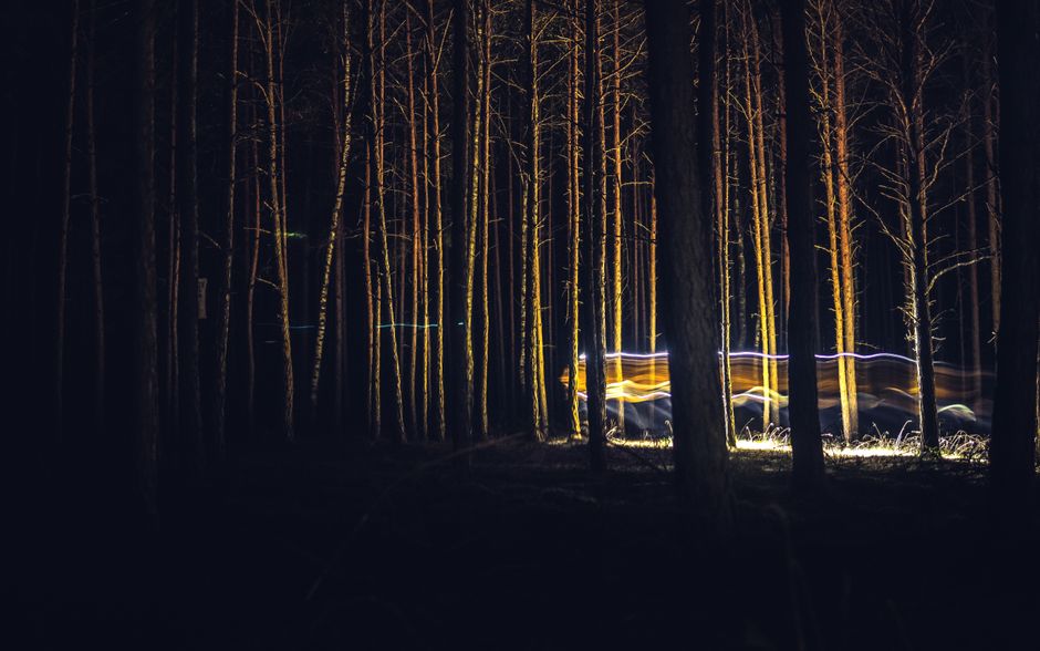 Night-Light Trail from recycled paper — diy-creativity · Photography