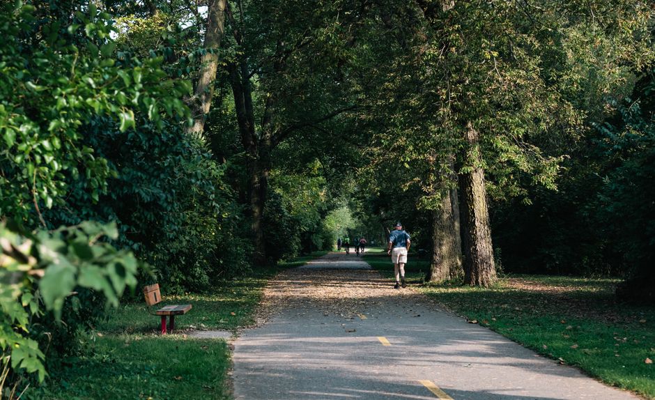 Park Loop during a workday lull — wellness · Walking & Outdoor
