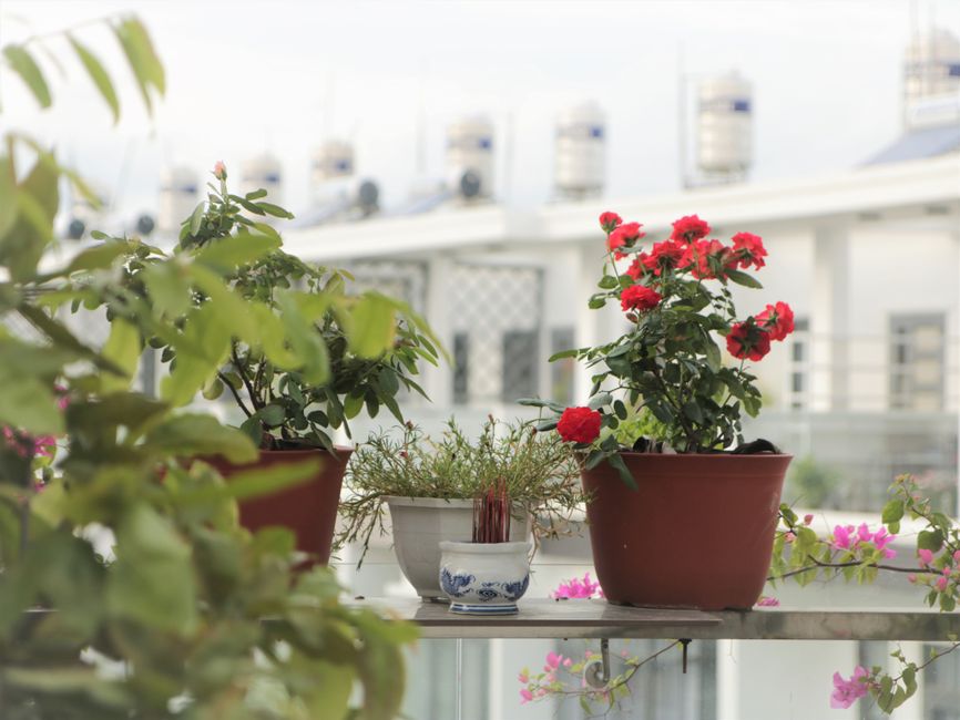 small-space garden & outdoor upgrades worth stealing with a vintage-modern mix — home · Garden & Outdoor
