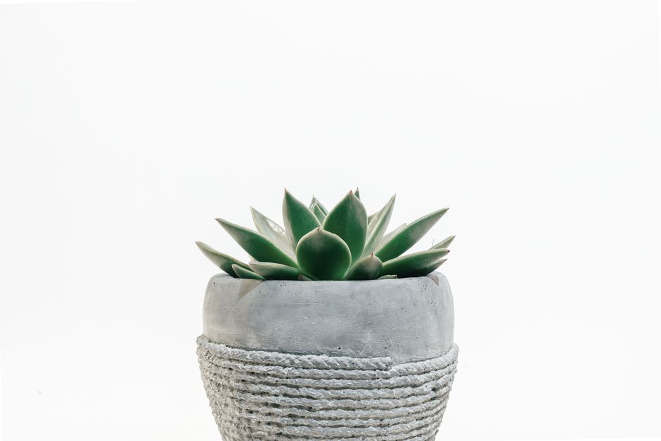 Rope Planter for a first-time maker — home · DIY