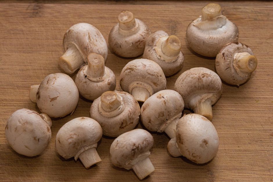Stuffed Mushroom Caps — stuffed mushrooms outdoor with a roasted pepper spread — food · Party Food