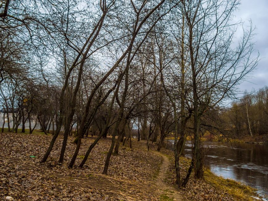 River Path with a hydration cue — wellness · Walking & Outdoor