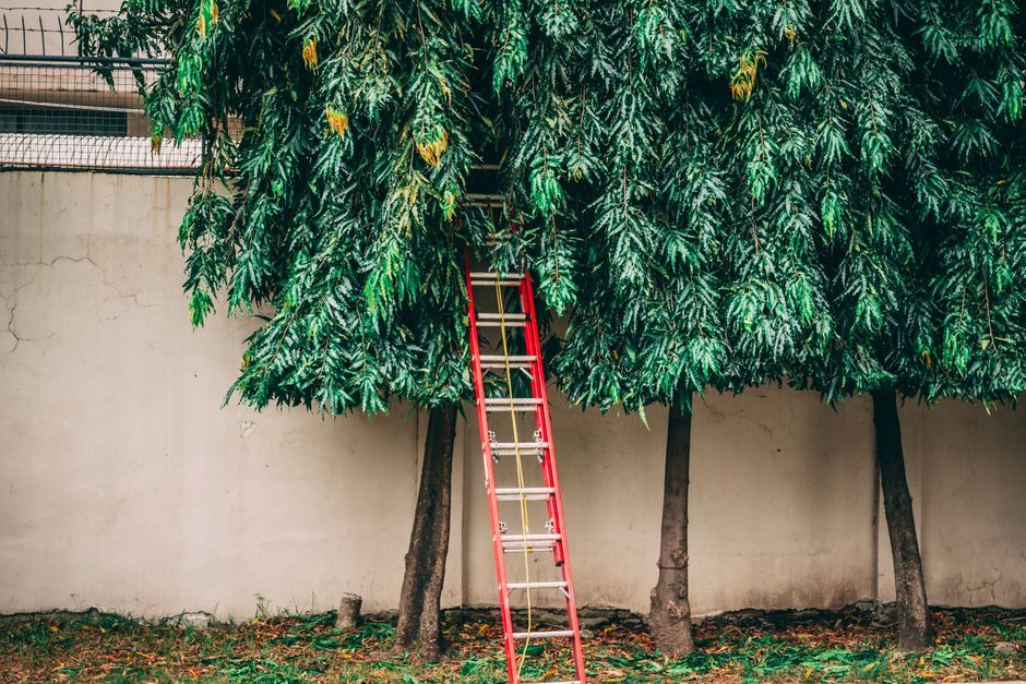 Fear Ladder when you want to reconnect — lifestyle · Personal Growth