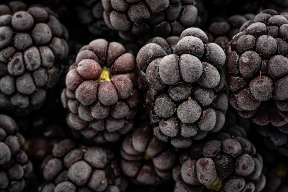 Blackberry Sage Cooler for water hot afternoons — food · Drinks