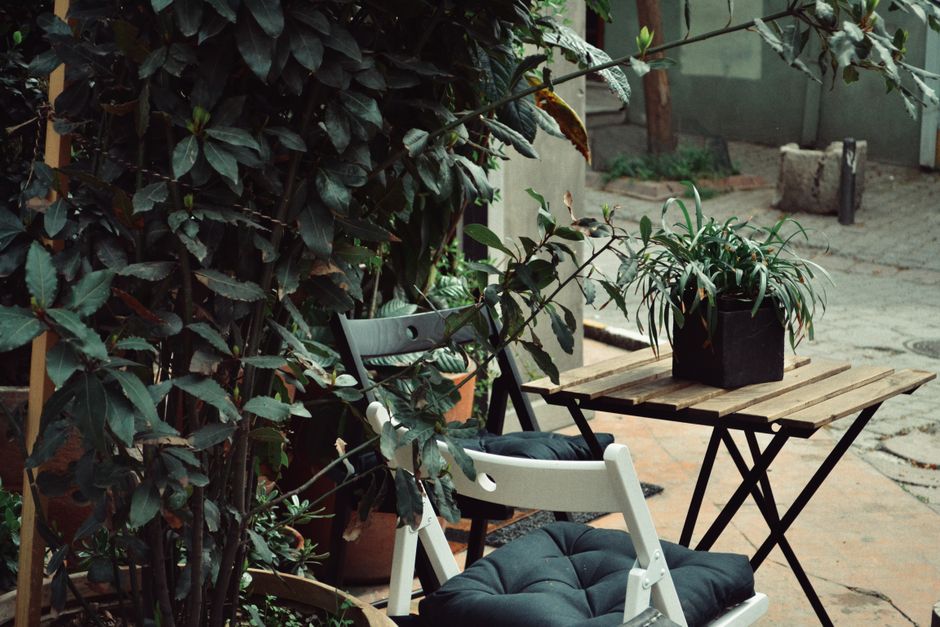 renter-friendly garden & outdoor details that look intentional with removable updates — home · Garden & Outdoor