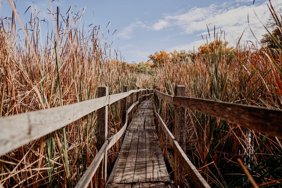 sleep-friendly walking & outdoor habits with a gratitude prompt — wellness · Walking & Outdoor