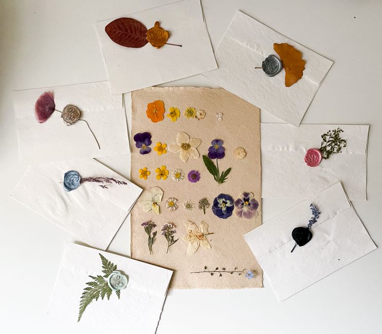Pressed-Flower Frame for a small creative corner — diy-creativity · Crafts