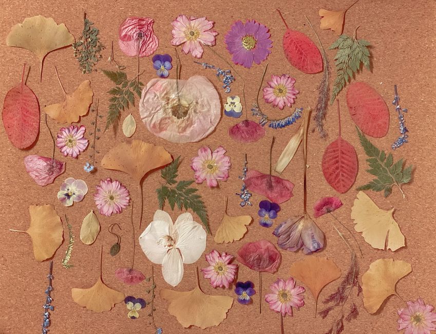 Memory Jar — pressed flower frame with a layered-paper effect — diy-creativity · DIY Gifts