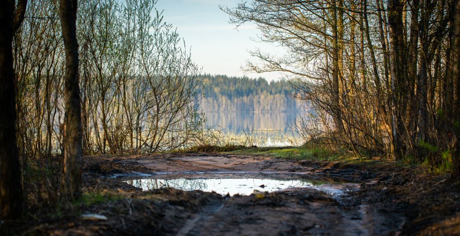 Lake Trail around a local craft shop — travel · National Parks