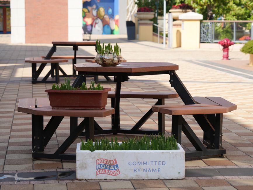 Herb Planter using warm neutral tones — home · Garden & Outdoor