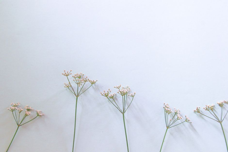 Quilled Botanical for a small creative corner — diy-creativity · Paper Crafts