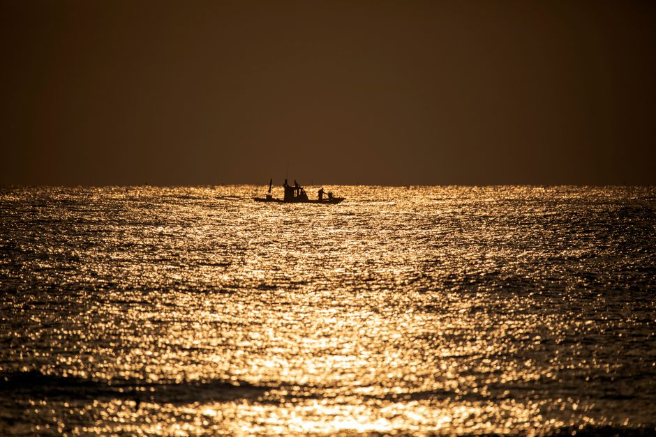 Golden-Hour Silhouette using fabric scraps — diy-creativity · Photography