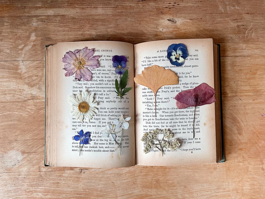 Pressed-Flower Frame — pressed flower frame for a small creative corner — diy-creativity · DIY Gifts
