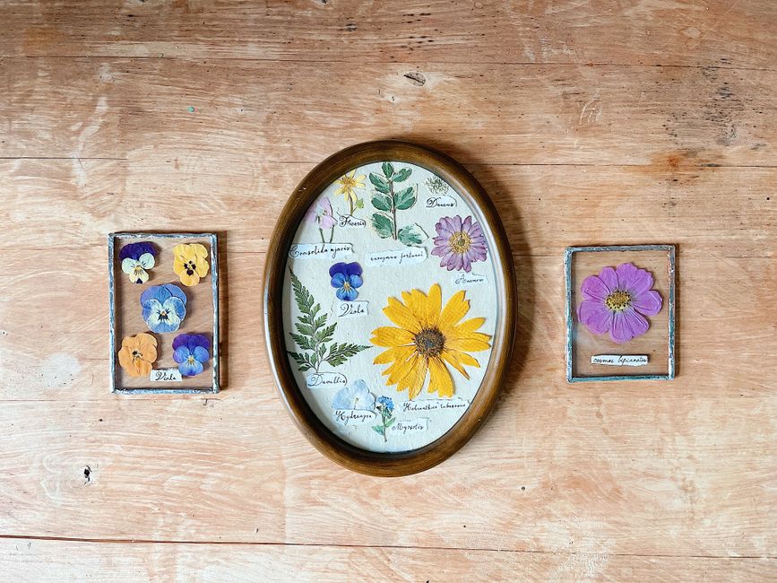 Pressed Botanical Frame with a watercolor layer — diy-creativity · Handmade Decor