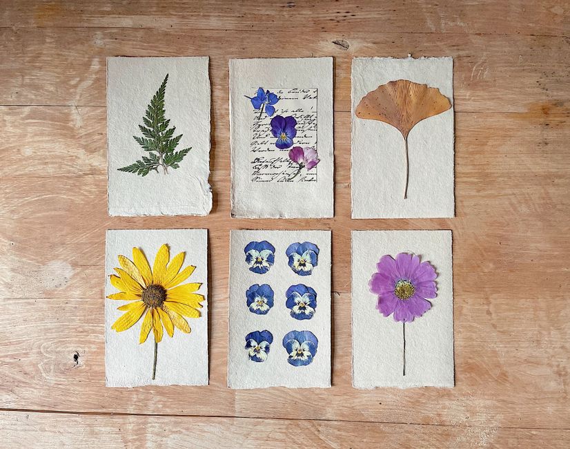 Pressed-Flower Frame for learning new technique — diy-creativity · Crafts