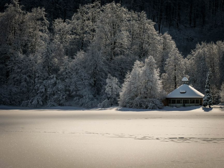 Cabin Morning for a flexible itinerary — travel · Weekend Getaways