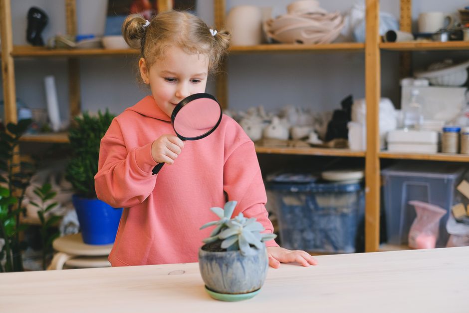 Indoor Treasure Hunt with a snack pairing — entertainment · Family Fun