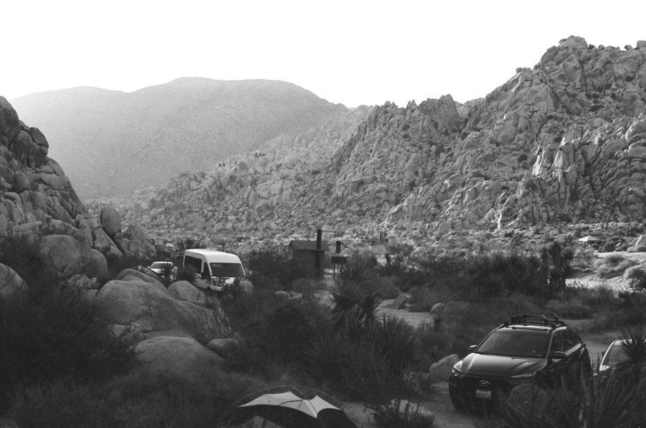Joshua Tree Sunrise for a celebration trip — travel · USA Travel