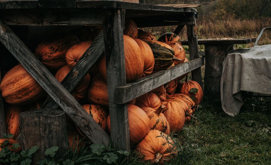 Pumpkin Doorway with a simple hosting timeline — celebrations · Halloween