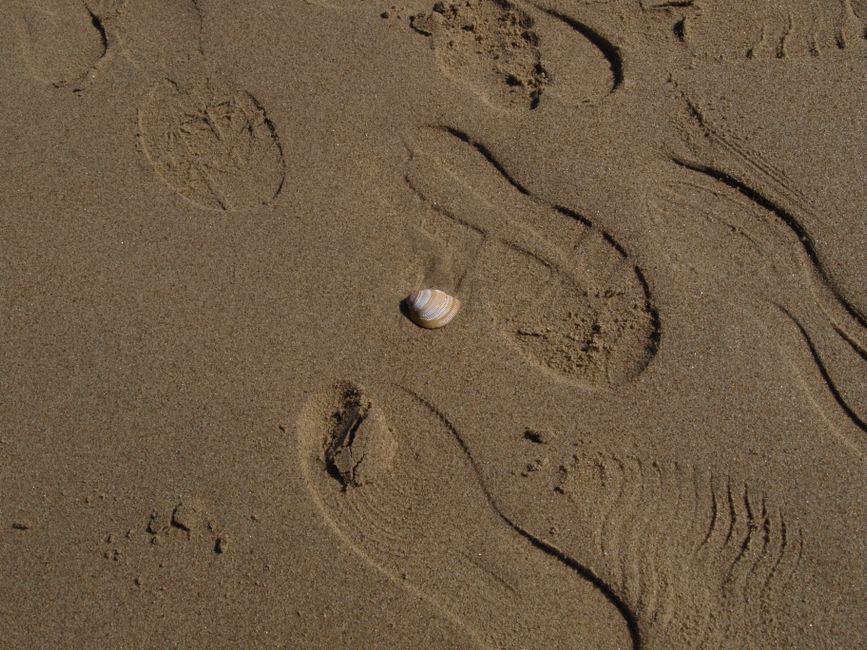 Beach Treasure Walk for a photo-focused outing — travel · Family Travel