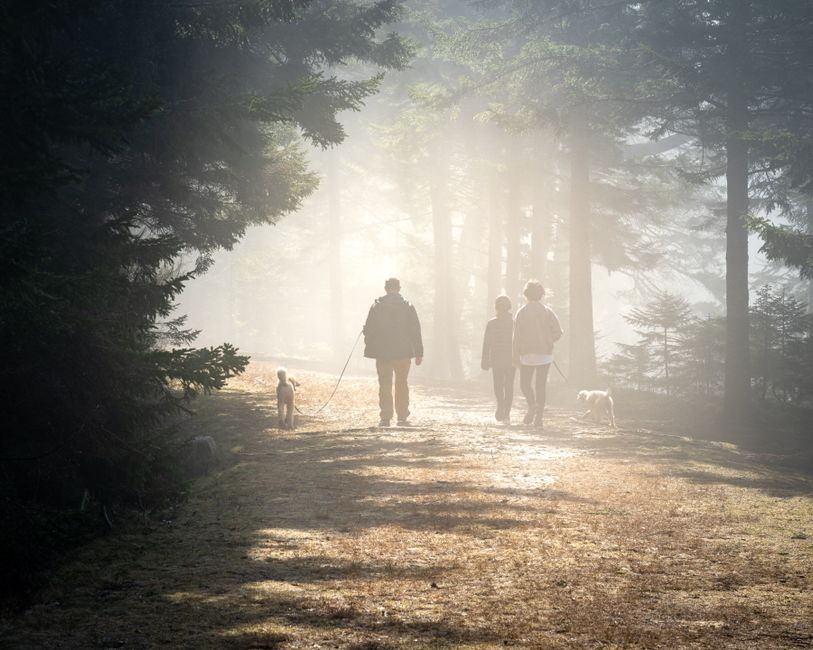 outdoor walking & outdoor rituals that get you into fresh air after a stressful day after a stressful day — wellness · Walking & Outdoor