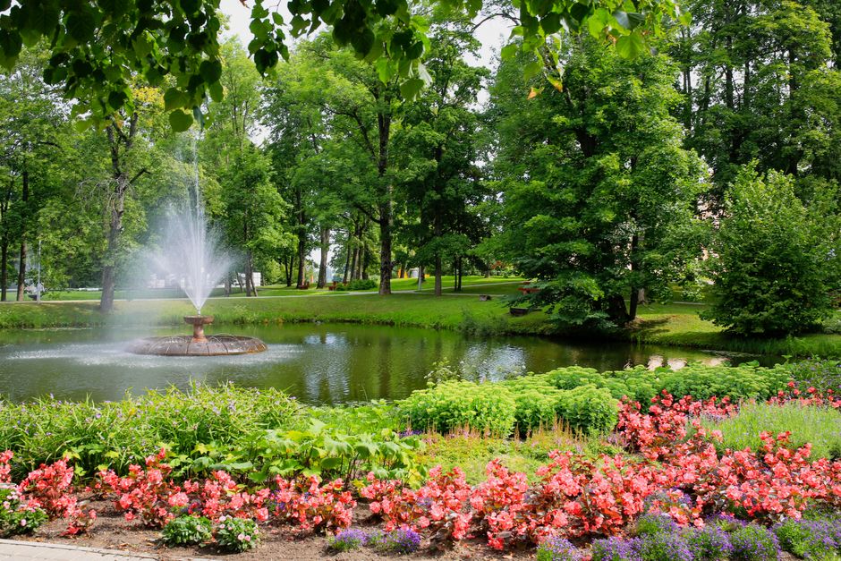 Try A Public Garden for a group that likes variety — entertainment · Things to Do