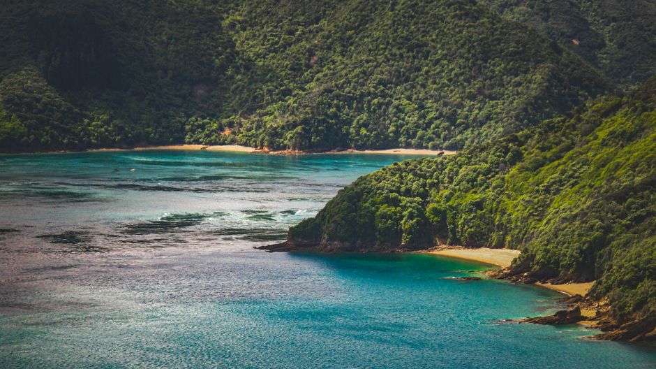 Kayak Cove near a hidden garden — travel · Beach Vacations