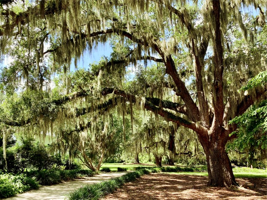 Savannah Squares around an art-filled neighborhood — travel · USA Travel