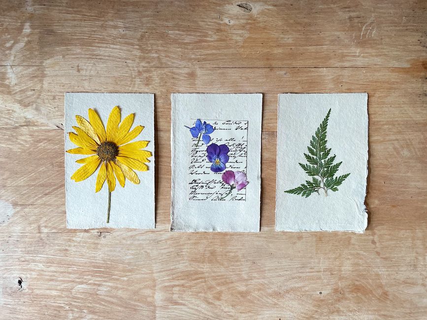 Pressed-Flower Frame with a simple stencil — diy-creativity · Crafts