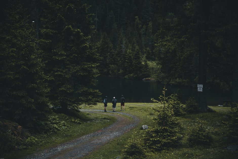 Lake Trail for travelers avoiding crowds — travel · National Parks
