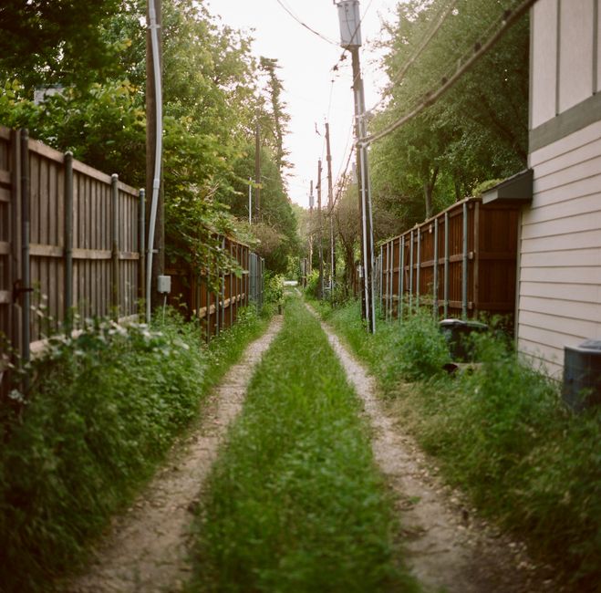Neighborhood Photo Walk with a snack pairing — entertainment · Family Fun