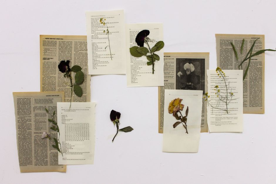 Pressed-Flower Frame for a weekend project — diy-creativity · Crafts