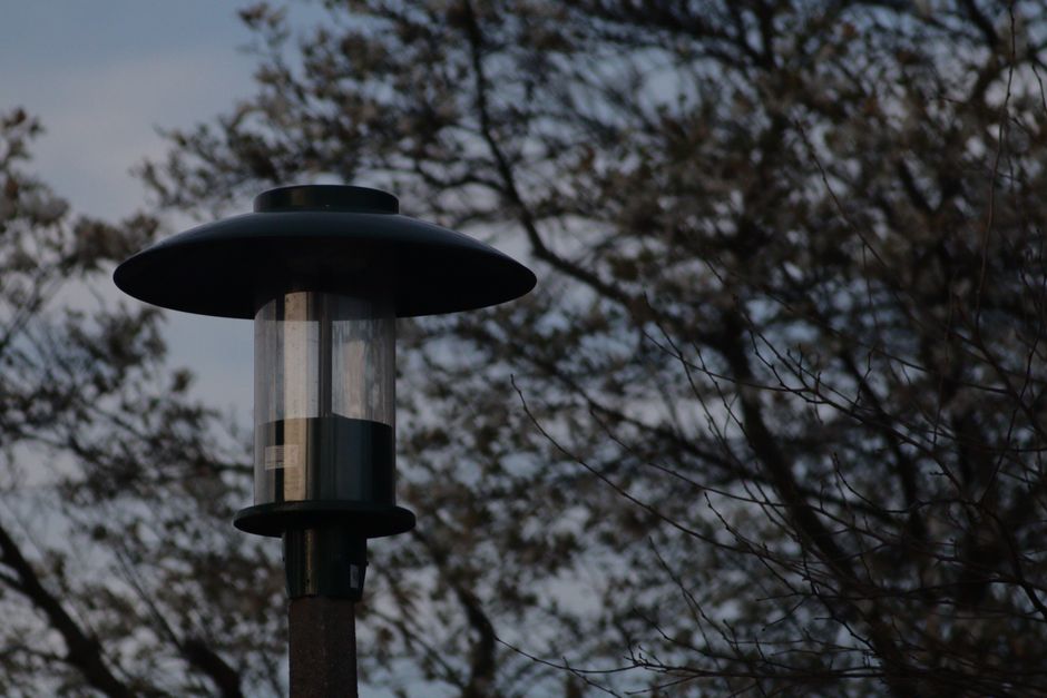 Evening Light Dimmer with a gratitude prompt — wellness · Sleep