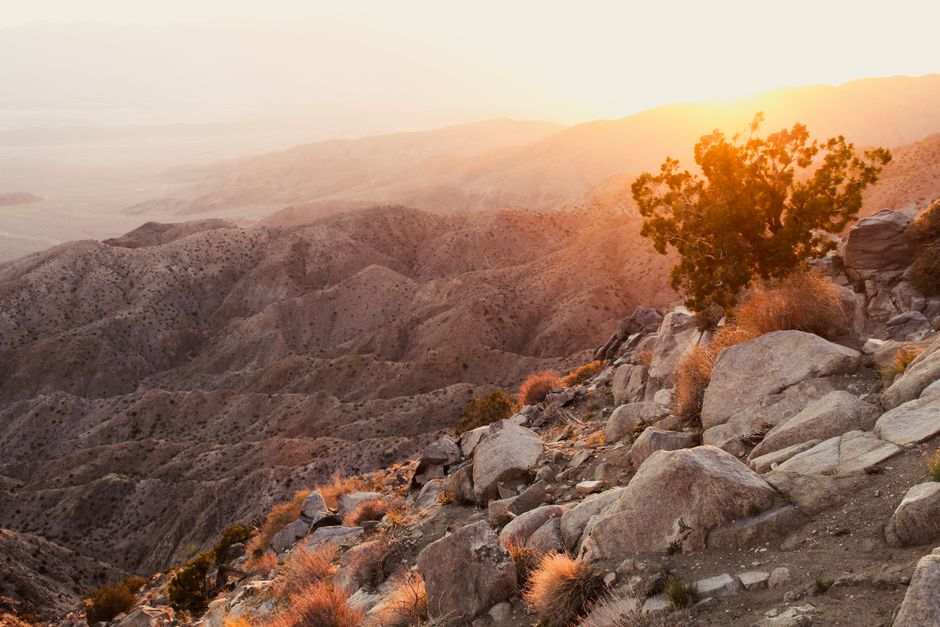 Joshua Tree Sunrise with a sunset picnic — travel · USA Travel