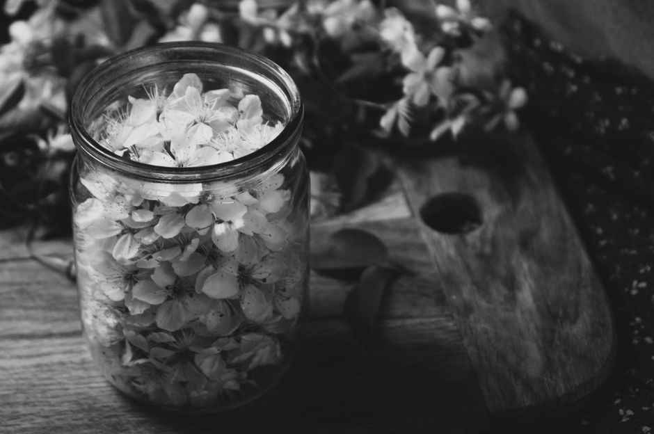 Pressed-Flower Frame — memory jar beginners with a hand-lettered element — diy-creativity · DIY Gifts