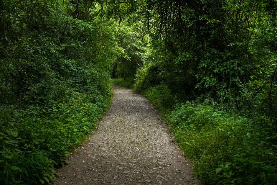 Quiet Walk for a more intentional morning — lifestyle · Self-Care