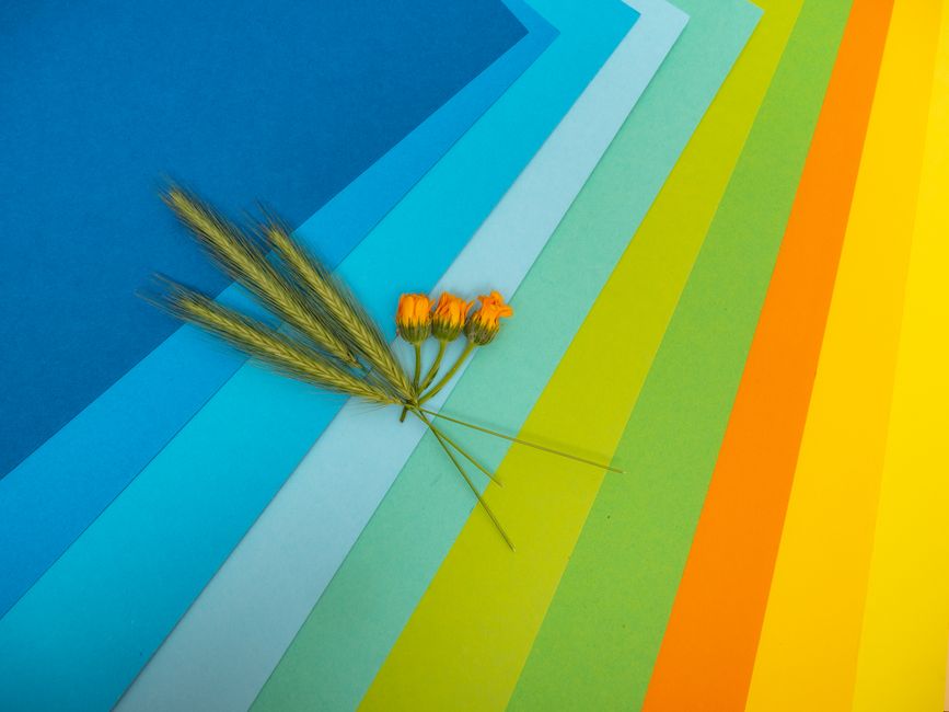 Layered Paper Flower using air-dry clay — diy-creativity · Paper Crafts