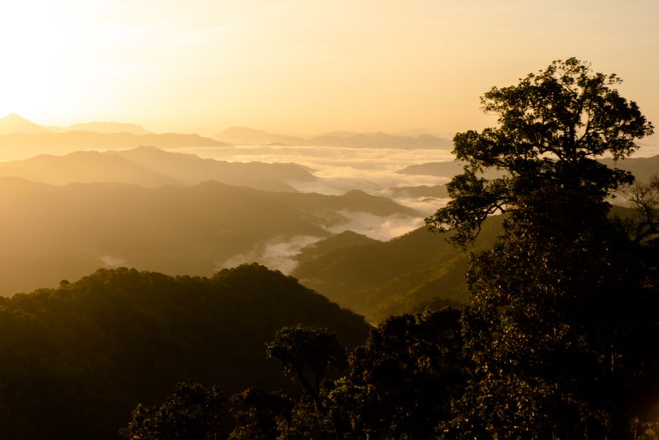Sunrise Viewpoint with a scenic picnic — travel · Solo Travel