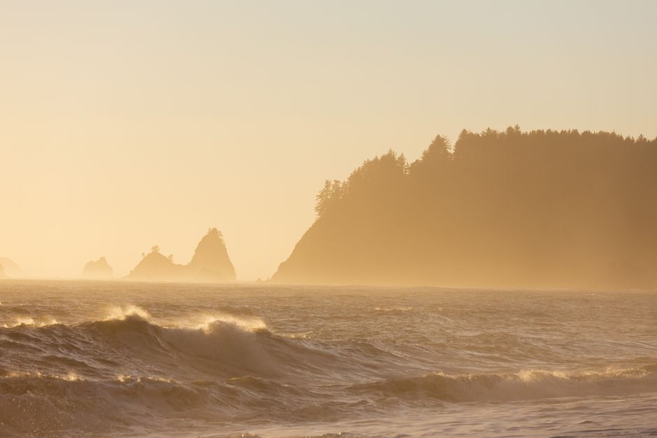 Olympic Peninsula Coast near a quiet beach access — travel · USA Travel
