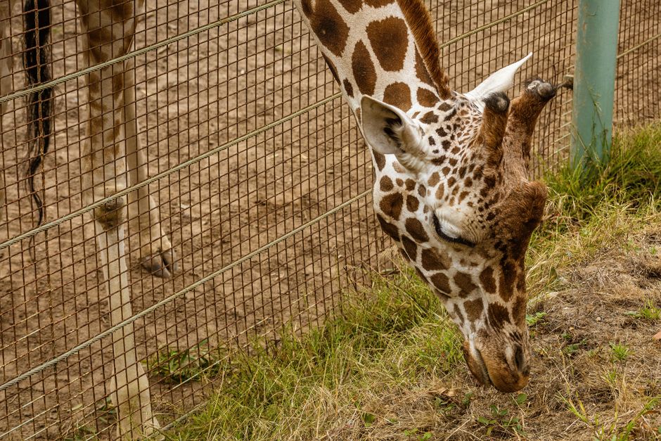 Zoo Morning around a waterfront walk — travel · Family Travel