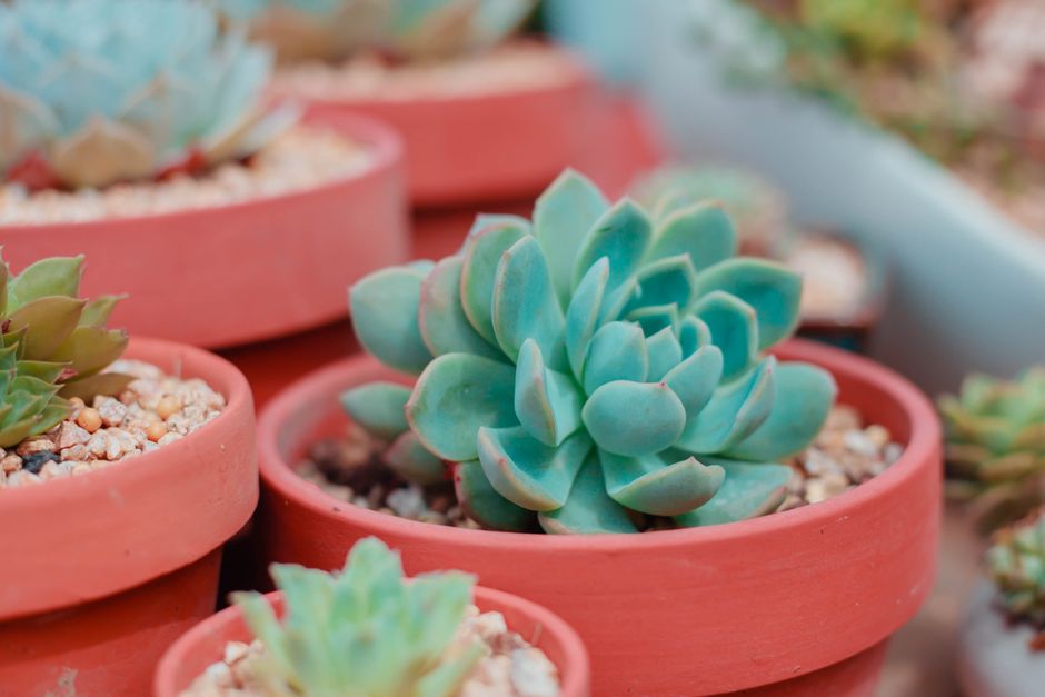 Painted Terracotta Pot using thrifted fabric — diy-creativity · Crafts