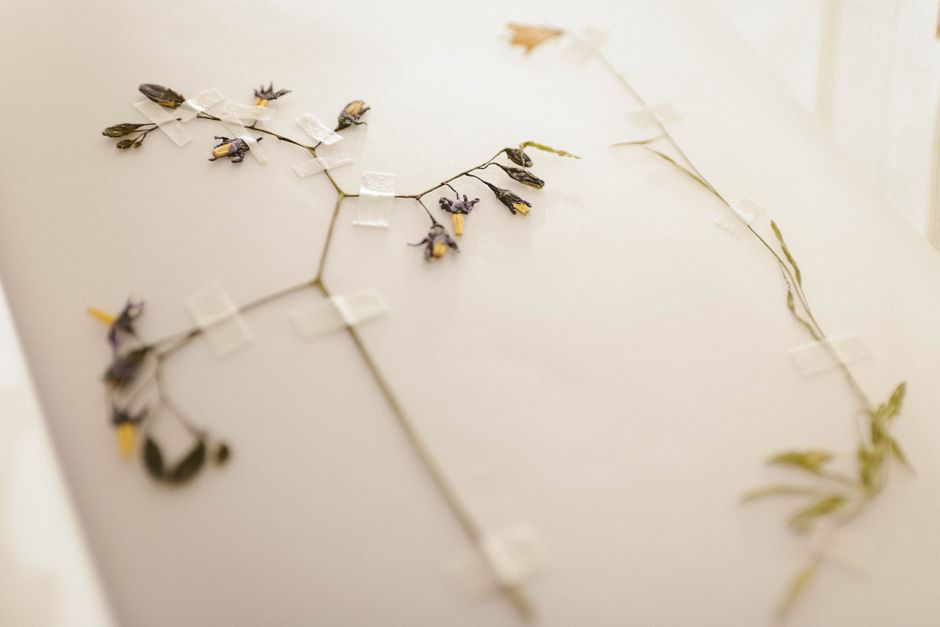 Pressed-Flower Frame for blank journal page — diy-creativity · Crafts