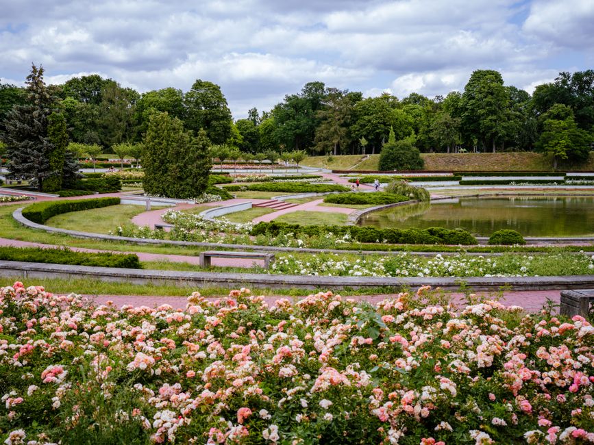 Try A Public Garden with a memory-making finale — entertainment · Things to Do